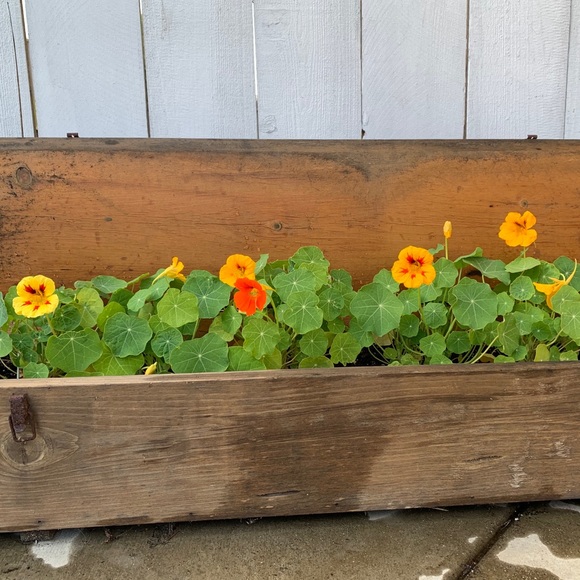 Welcome ❤️ Bookmark My Closet - Picture 14 of 16